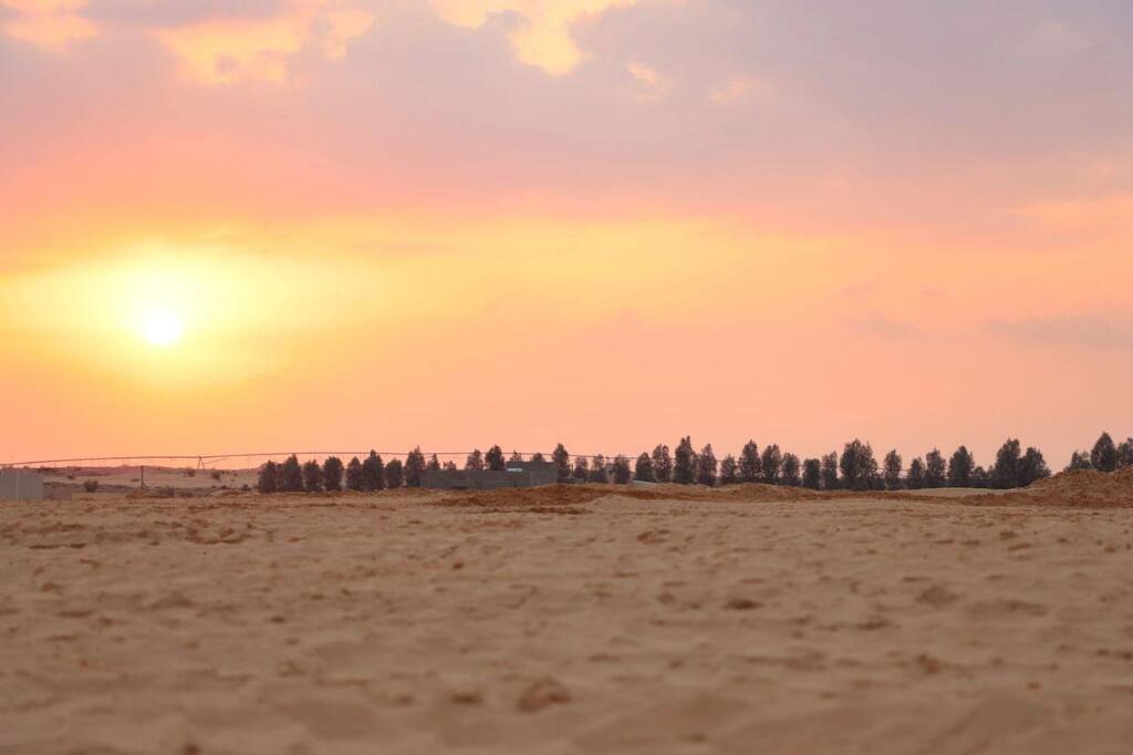 Photo: Yael Bohbot Pioneer Sands Area