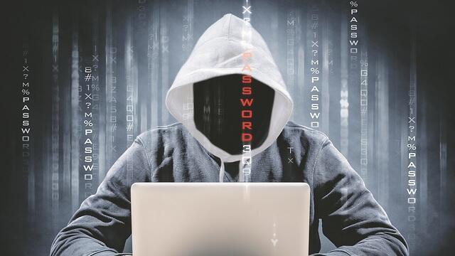 צילום: Shutterstock צילום: Shutterstock