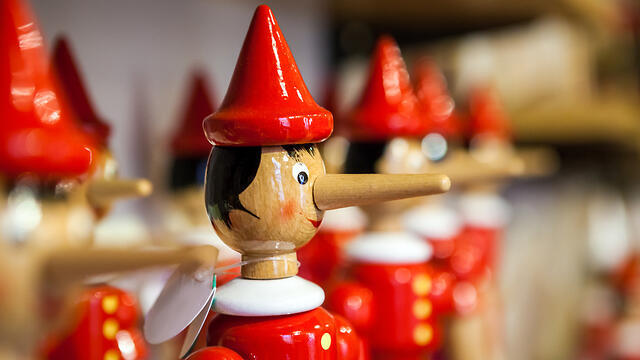 צילום: shutterstock צילום: shutterstock