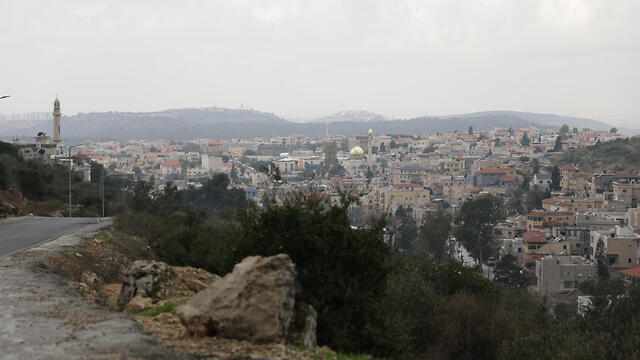 צילום: אורי דוידוביץ' צילום: אורי דוידוביץ'