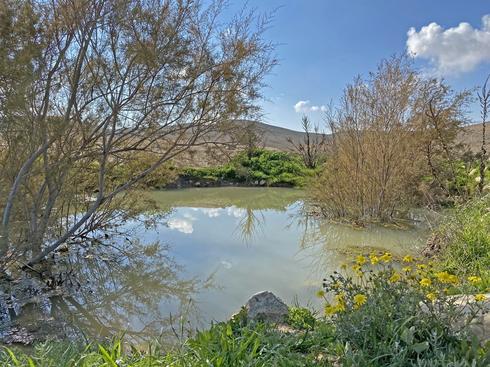 Озерцо в Борот-Лоц. Фото: Шарон Бен-Цур