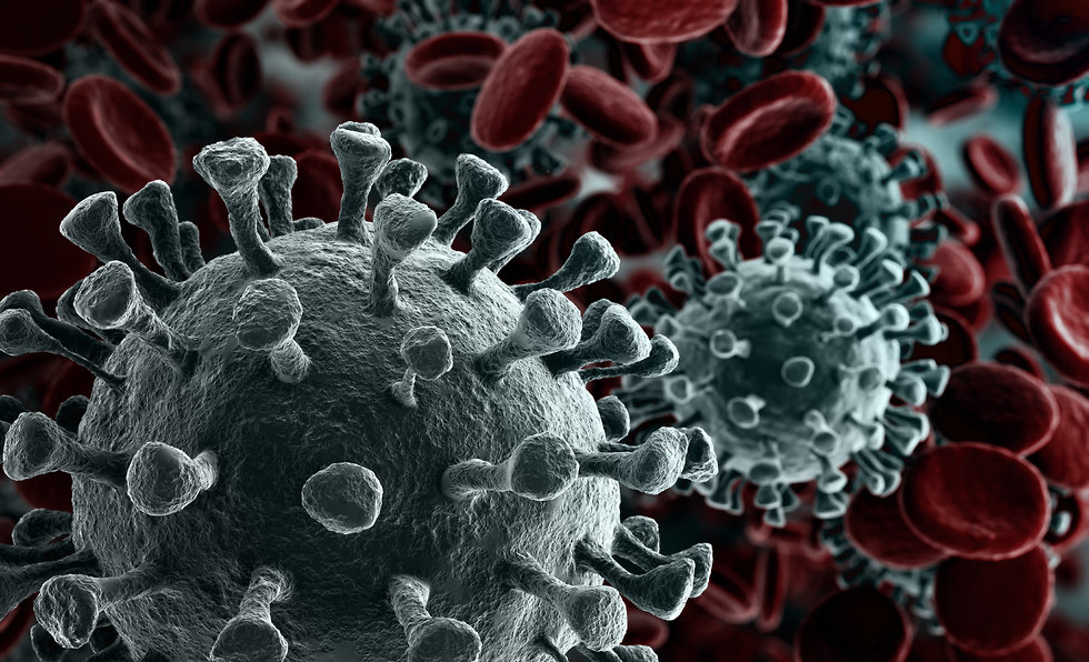 הדרך לחיסון קרובה משחשבנו? נגיף הקורונה (צילום: Shutterstock)