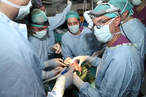 Врачи "Шибы" проводят экстракорпоральное удаление опухоли. Фото: пресс-служба больницы "Шиба"