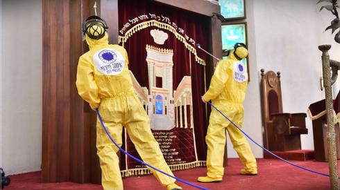 Санобработка Большой синагоги в Тель-Авиве. Фото: Орен Хен (Photo: Oren Hen)