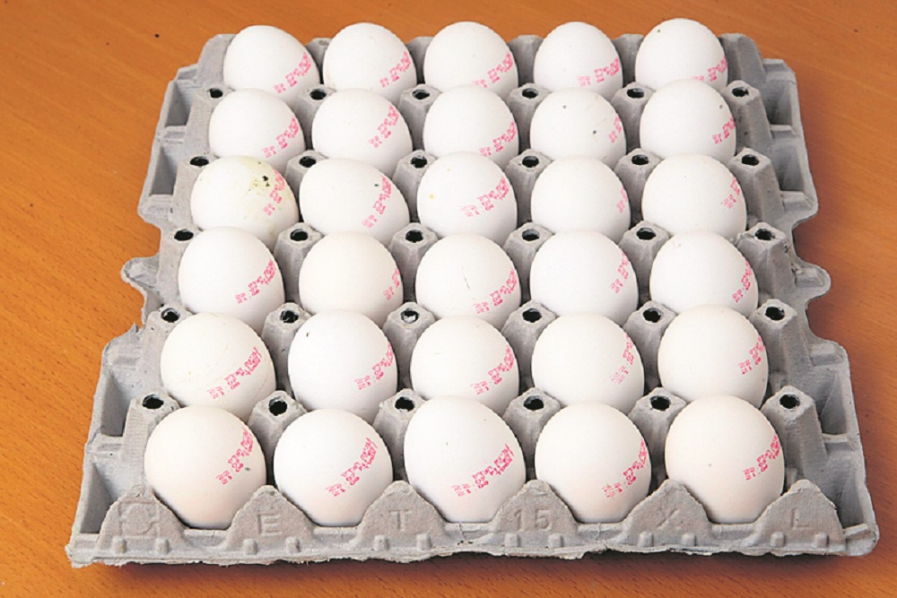 Яйца к Песаху. Фото: Эльад Гершгорн