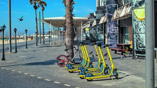צילום: יובל חן צילום: יובל חן