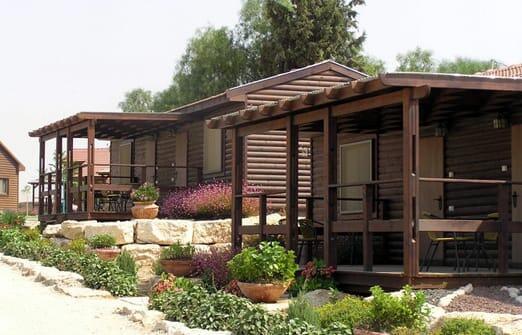 צילום: אפרת טהורי צילום: אפרת טהורי
