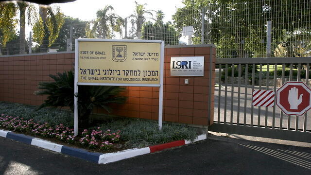 צילום: שאול גולן צילום: שאול גולן