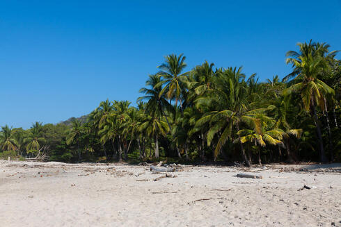 צילום: Shutterstock צילום: Shutterstock