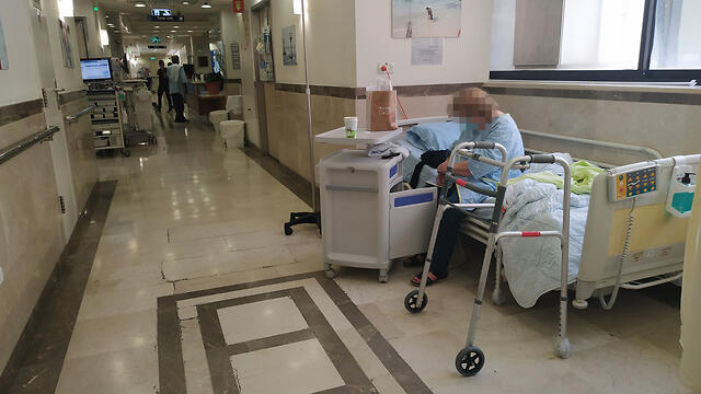 צילום: שאול גולן צילום: שאול גולן