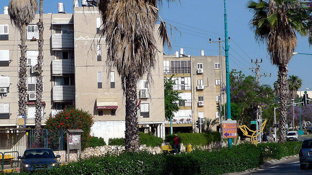 צילום: יריב כץ צילום: יריב כץ