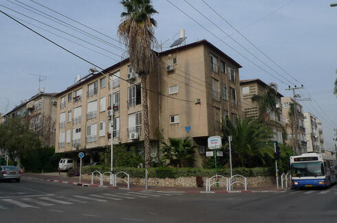 צילום: יריב כץ צילום: יריב כץ