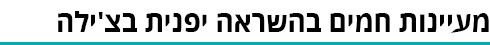 כותרת ביניים כותרת ביניים