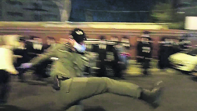 צילום: דוד פרלמוטר צילום: דוד פרלמוטר