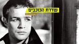 צילום: EPA