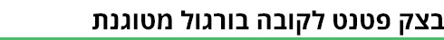 תמונה כללית