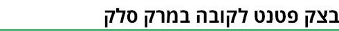 תמונה כללית