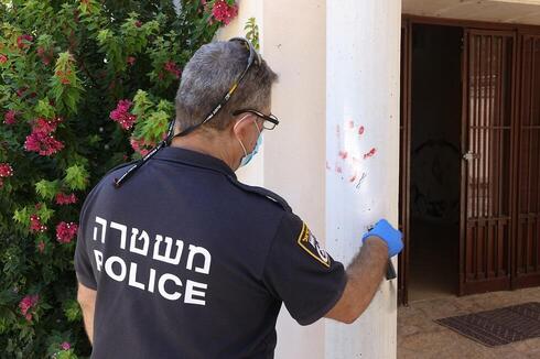 צילום: אלעד גרשגורן צילום: אלעד גרשגורן