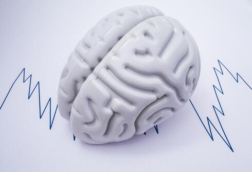 צילום: Shutterstock צילום: Shutterstock