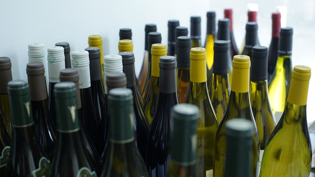 Wine stores - Shai Segev - immature store