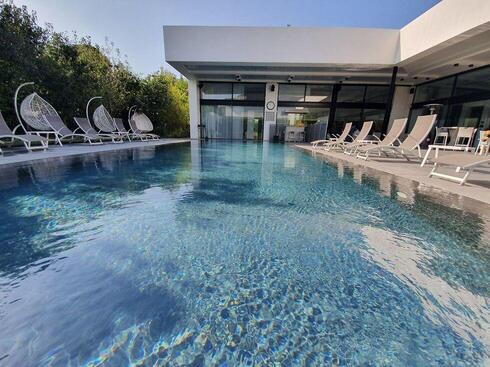 צילום: ליהי קרופניק צילום: ליהי קרופניק