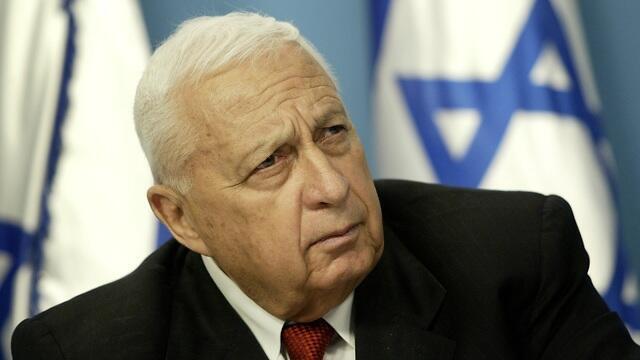 צילום: AP צילום: AP