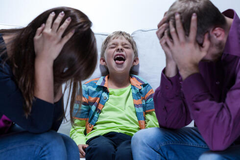 צילום: shutterstock צילום: shutterstock