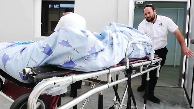 צילום: ירון שרון צילום: ירון שרון
