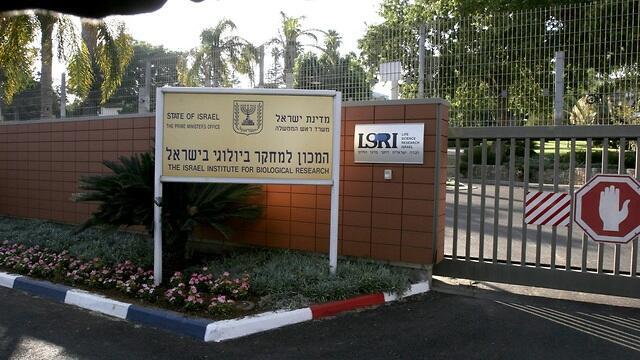 צילום: שאול גולן צילום: שאול גולן