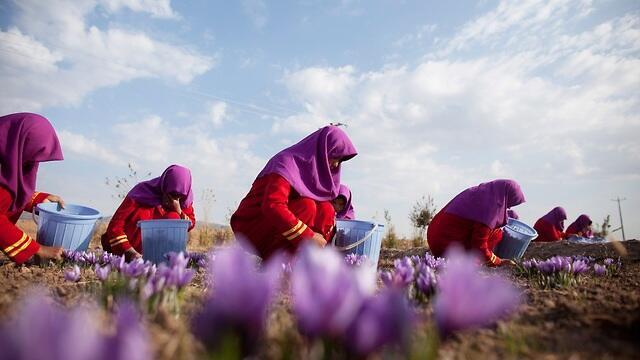 צילום: GettyImages צילום: GettyImages