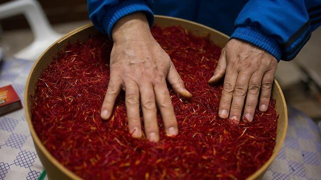 צילום: GettyImages צילום: GettyImages