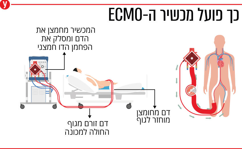 אינפו אקמו