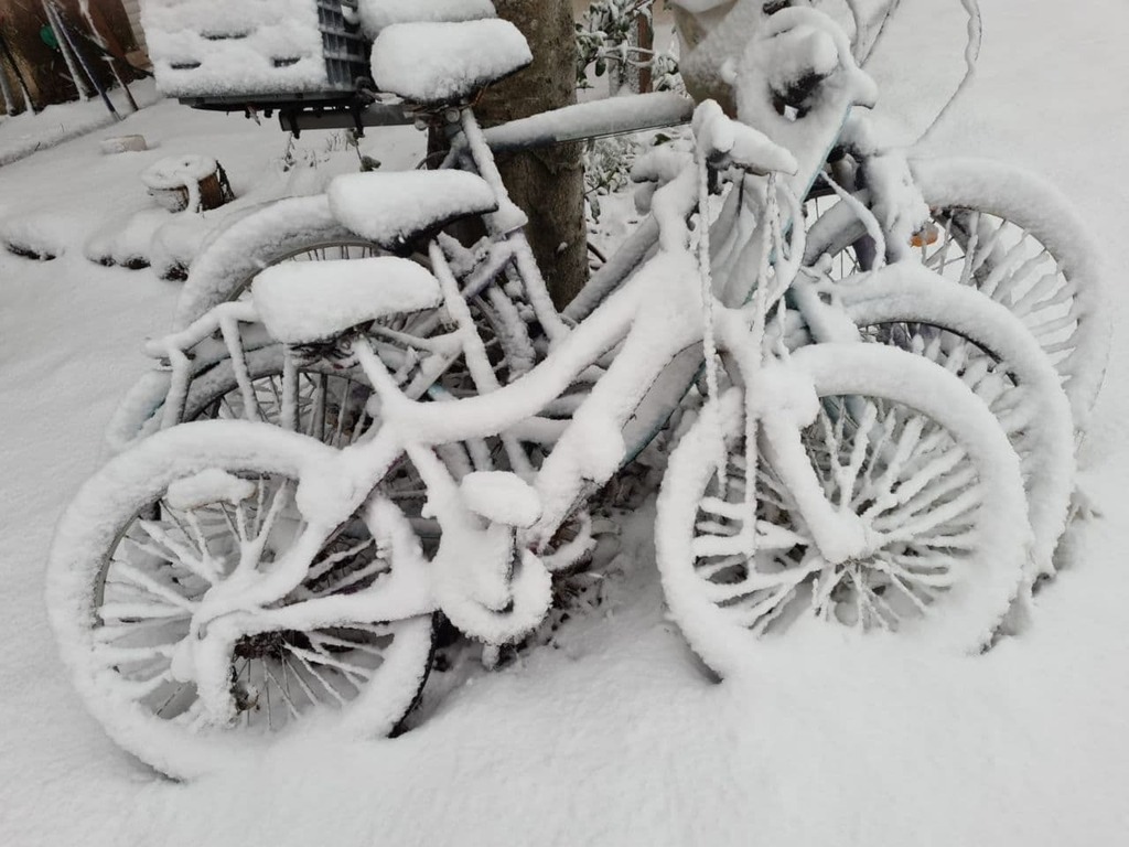 Snow in Merom Golan