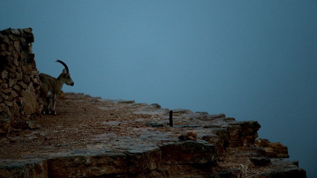 Mitzpe Ramon