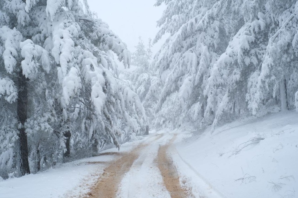 Snow in Majdal Shams