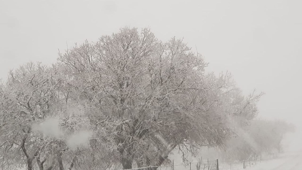 Snow in Merom Golan