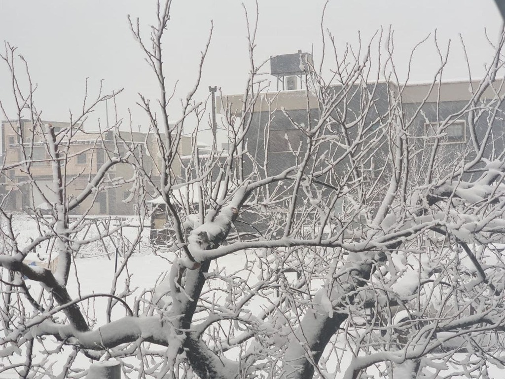 Snow in Buqata