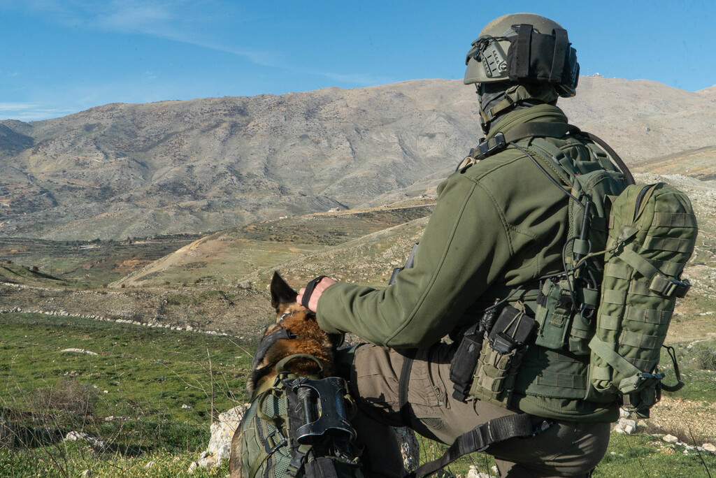An enclave beyond the fence border Syrian border paratroopers army