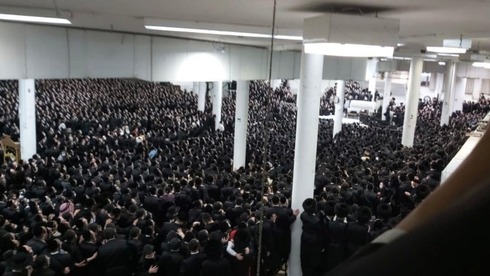 תיש בחסידות גור