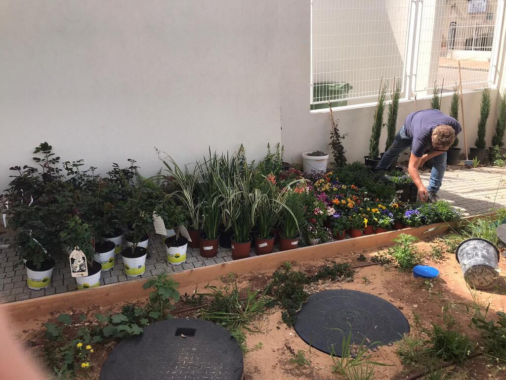  טיפוח גינה יום המעשים הטובים