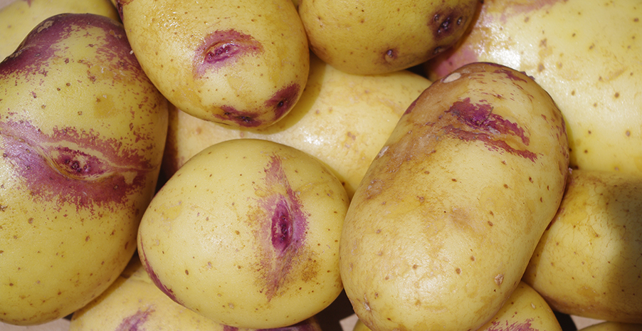 Potatoes - kisses