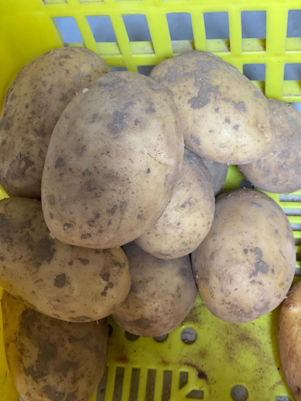 Potatoes - Butter 