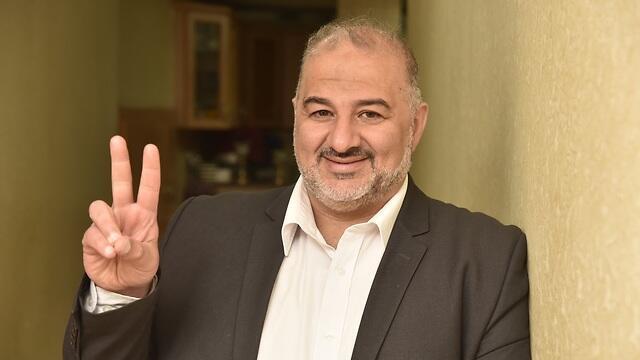צילום: שרון צור צילום: שרון צור