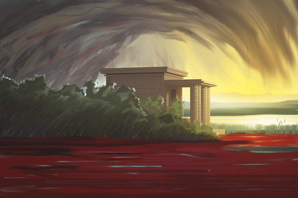 Bloodshed