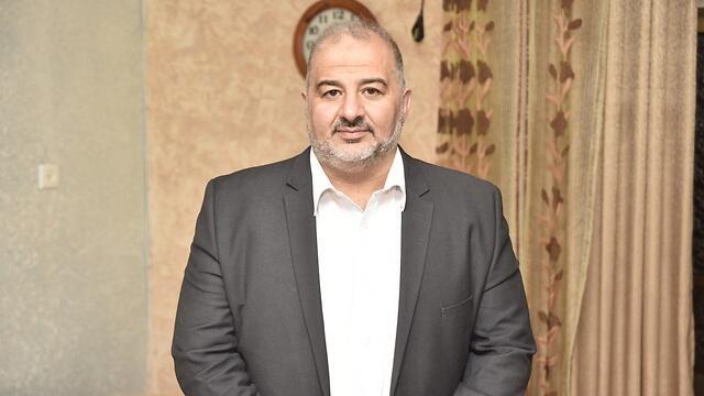 צילום: שרון צור צילום: שרון צור