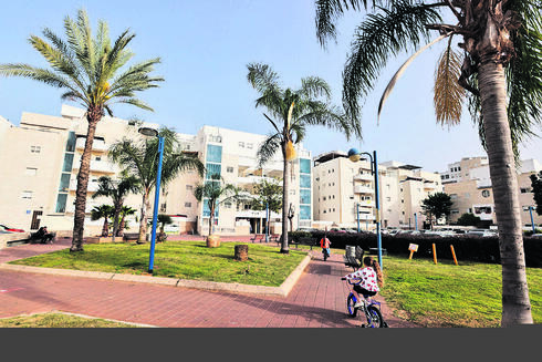 צילום: גדי קבלו צילום: גדי קבלו