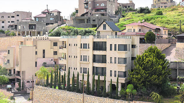 צילום: שרון צור צילום: שרון צור
