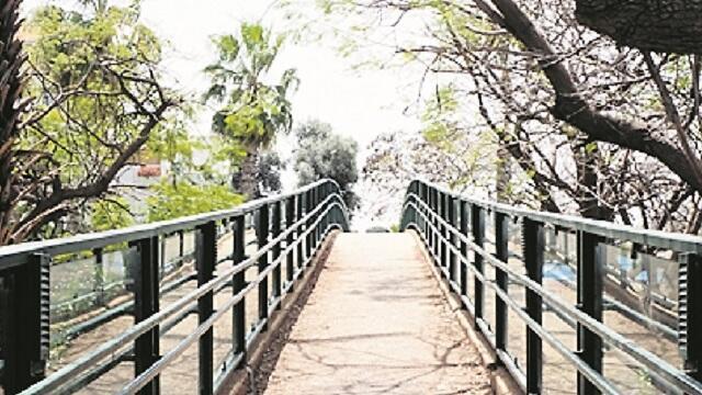 צילום: שאול גולן צילום: שאול גולן