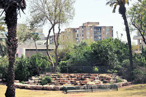 צילום: יריב כץ צילום: יריב כץ