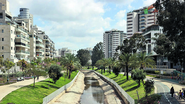 צילום: יריב כץ צילום: יריב כץ